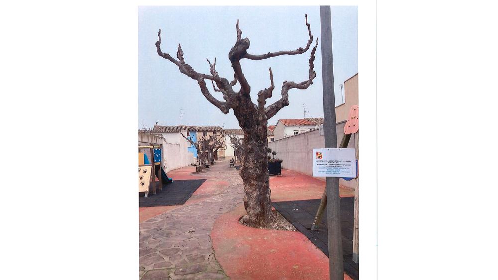 Dentro de las labores desarrolladas, se incluye la poda de árboles.